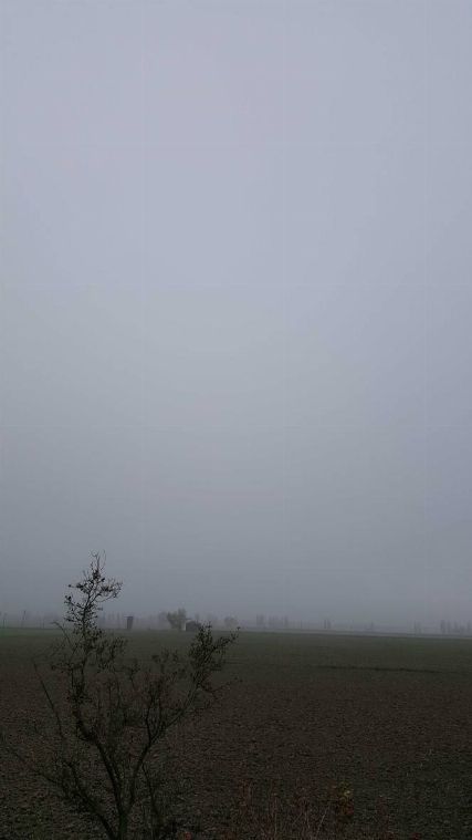 Raduno dell' 11/11/17 [SigarettaElettronicaForum.com]