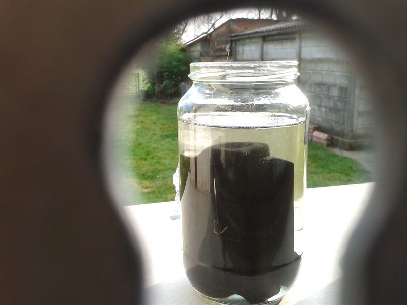 [ Dinamica Modding] - Box Bottom Feeder [SigarettaElettronicaForum.com]