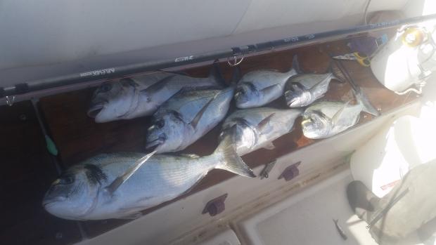 la pesca non è per tutti [SigarettaElettronicaForum.com]