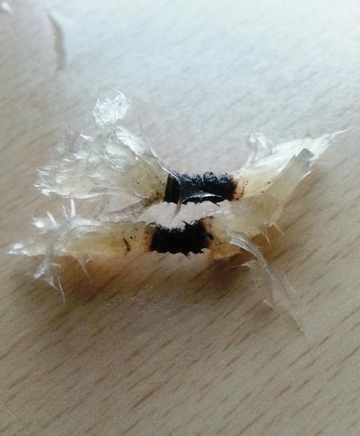 Wick: Ma Davvero Va in Soffitta? [SigarettaElettronicaForum.com]