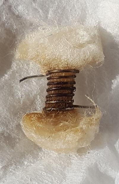 Prima Rigenerazione [SigarettaElettronicaForum.com]