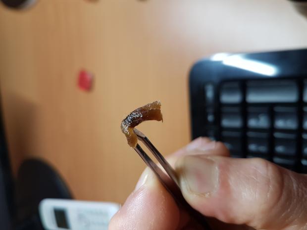 Prima Rigenerazione Phenomenon ... [SigarettaElettronicaForum.com]