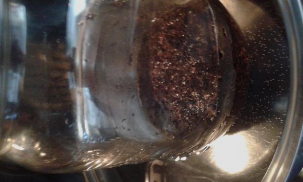 20170418_101856.jpg