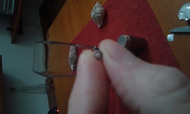 quasi assenza aroma kayfun 5 [SigarettaElettronicaForum.com]