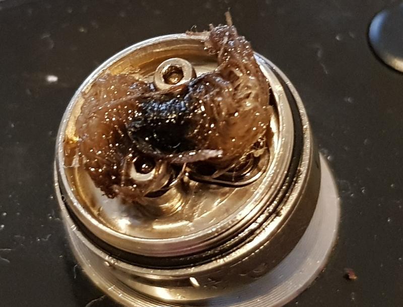 I Test Di SEF: Svapiamo Con La Garza Idrofila [SigarettaElettronicaForum.com]