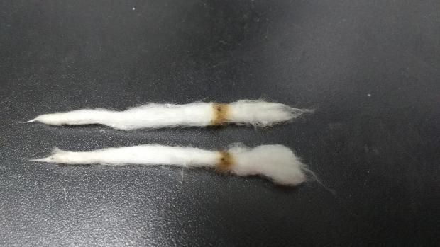 Dove sbaglio con DNA75 e tc ss316l? [SigarettaElettronicaForum.com]
