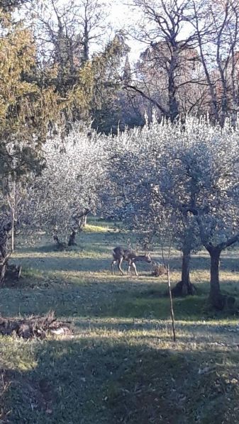 Eravamo 4 amici al Bar -  Inverno 2018 [SigarettaElettronicaForum.com]