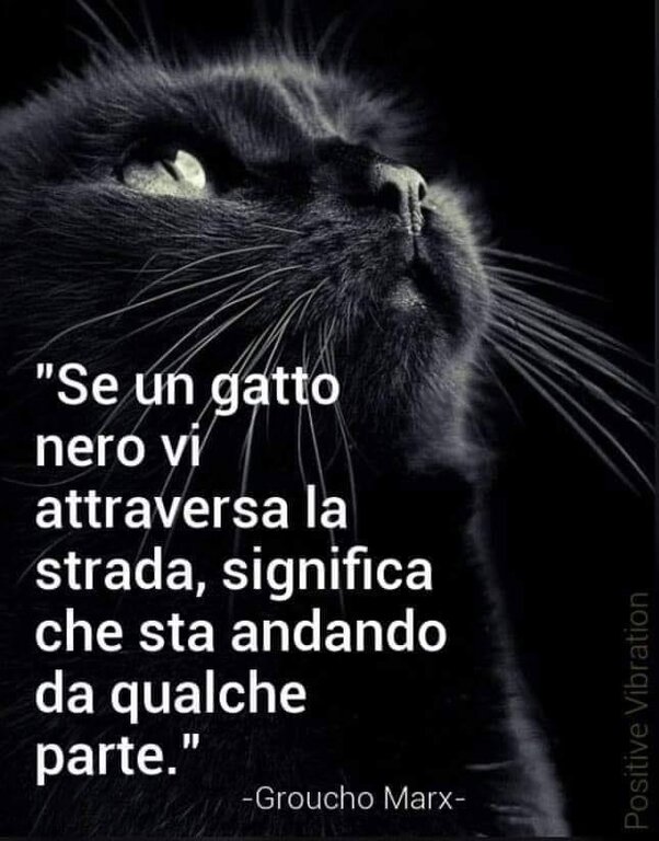 Aforismi: Saggezza Ed Umorismo [SigarettaElettronicaForum.com]