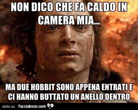 3898205694-non-dico-che-fa-caldo-in-camera-mia-ma-due-hobbit-sono-appena-entrati-e-ci-hanno_a.jpg