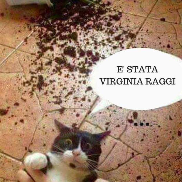 L'angolo Di Seresig 2 [SigarettaElettronicaForum.com]