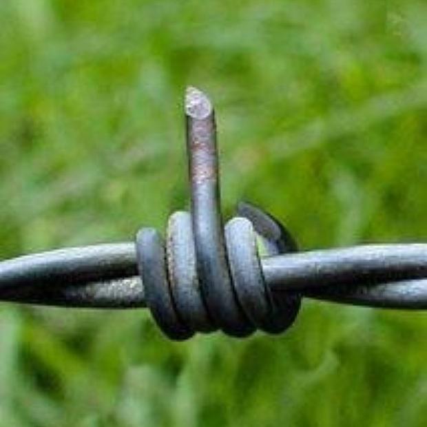 57ed6e7885108ac877c359079d36b33a--wire-fence-barbed-wire.jpg