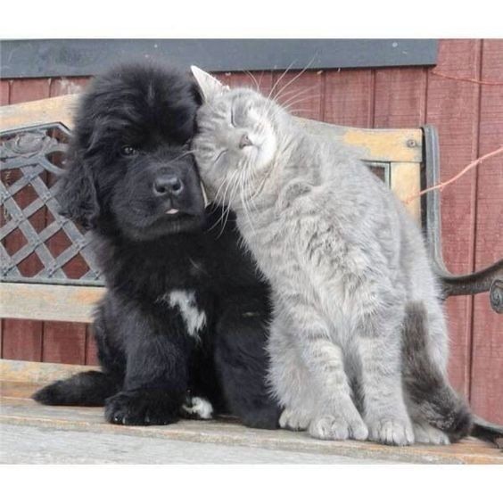 580974be67ca5ebc81207bcee1fbc682.jpg