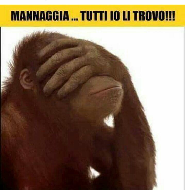 La Scimmiai Ha Presooooo.. [SigarettaElettronicaForum.com]