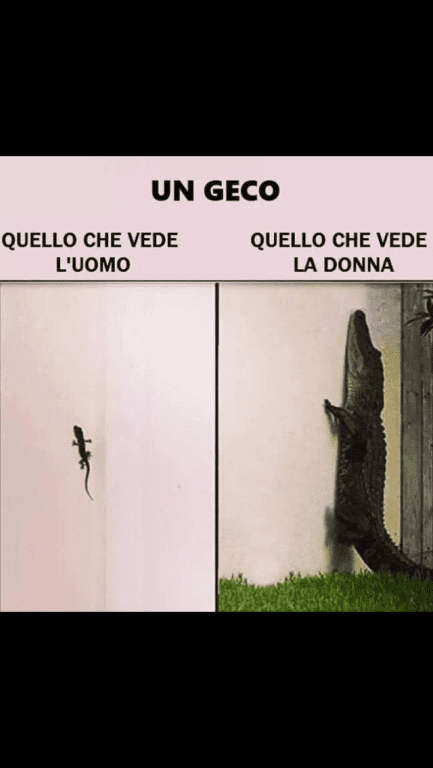Aforismi: Saggezza Ed Umorismo [SigarettaElettronicaForum.com]