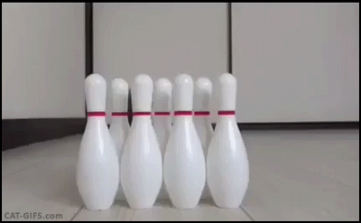 76d01c587a55c27c90256c237c7a8d33.gif