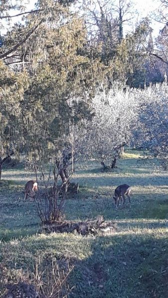 Eravamo 4 amici al Bar -  Inverno 2018 [SigarettaElettronicaForum.com]