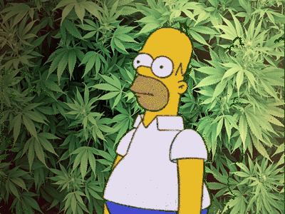 7b40f4fcff4d626df2af604629b80628.gif