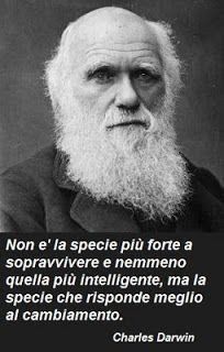 8822b7106d2a8c8cc25fa9c9ea2784fc.jpg