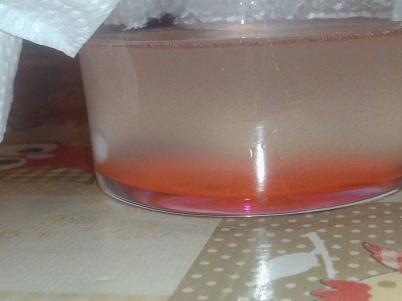 Primo liquido fatto in casa [SigarettaElettronicaForum.com]