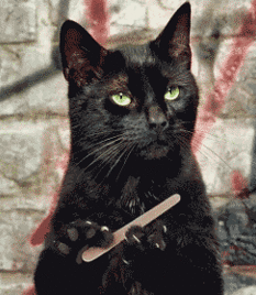 95e34e80c3503722e5e1082e4a392fa4.gif
