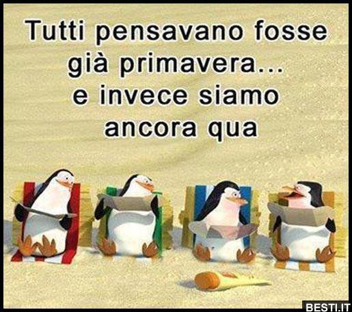 Eravamo 4 Amici Al Bar [SigarettaElettronicaForum.com]