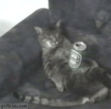 a96d9c411921cd30a0bf8f0a9a2eb3f0.gif