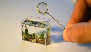 Tutto sull'Aspire Nautilus [SigarettaElettronicaForum.com]