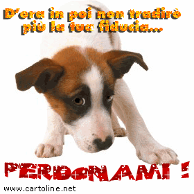 ae0d91034acc2b4ff9798498c490ffaa.gif