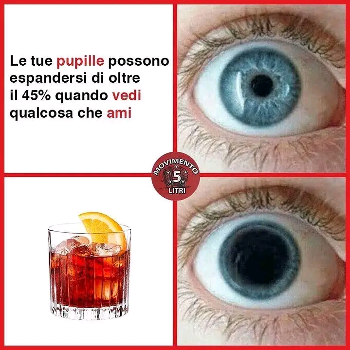 Aforismi: Saggezza Ed Umorismo [SigarettaElettronicaForum.com]