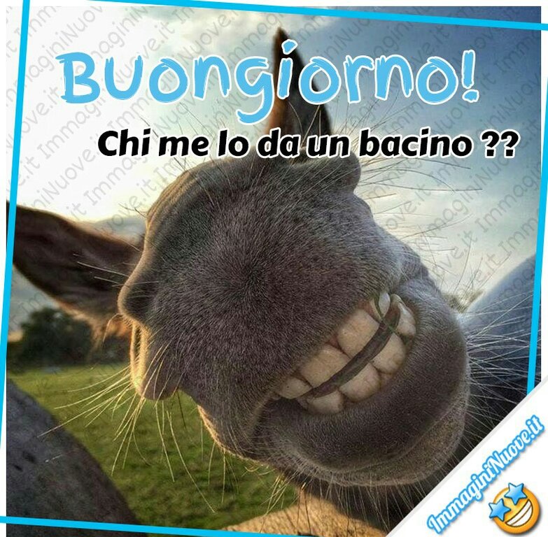 asinello_buongiorno.jpeg