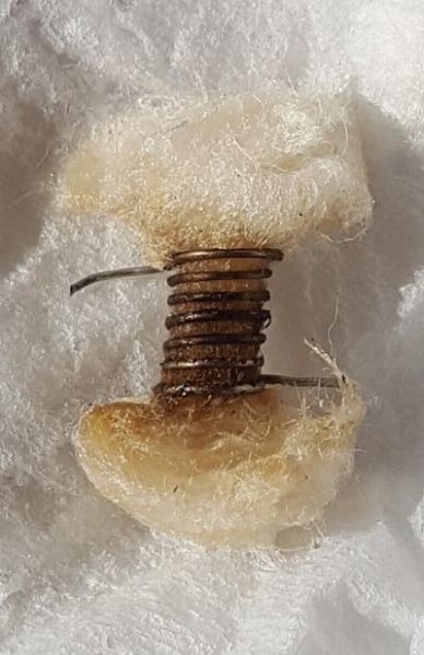 Prima Rigenerazione [SigarettaElettronicaForum.com]