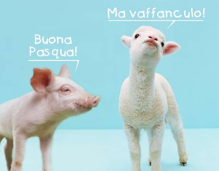 Auguri-di-Buona-Pasqua-Maiale-e-capretto.jpg