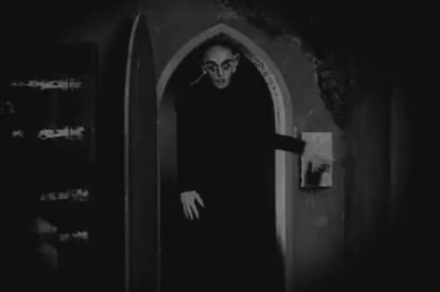 b157d4da393ae0be94e25255d5d355ce.gif