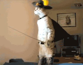 b3c04348c4d84c6d8eb88e3c2badcea1.gif