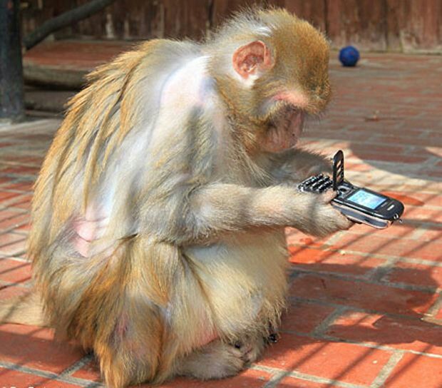 Scimmia fuori controllo....aiuto. [SigarettaElettronicaForum.com]