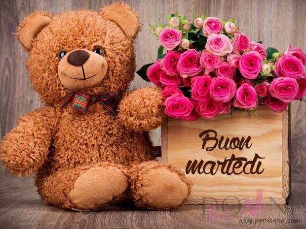 buon martedì.jpg