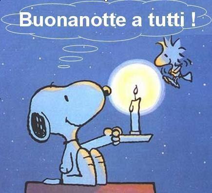 buonanottesnoopy.jpeg