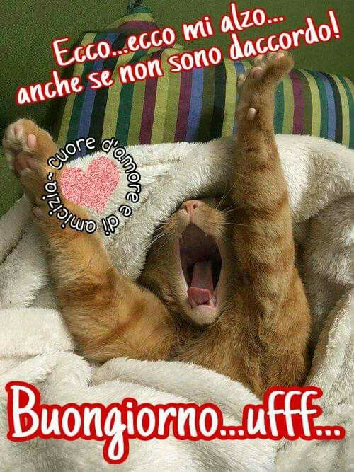 buongiorno_125.jpg