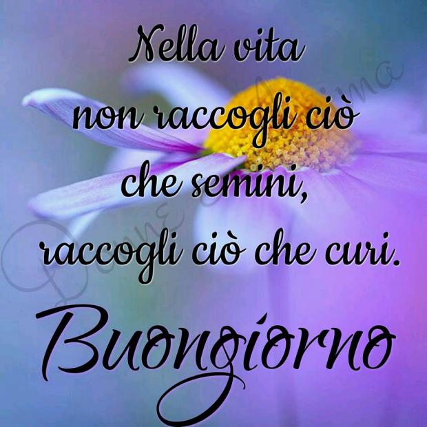 buongiorno_126.jpg