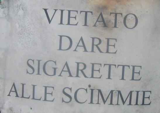 Maledetta Scimmia [SigarettaElettronicaForum.com]