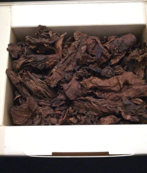 Estrazione Aroma Tabacco [SigarettaElettronicaForum.com]