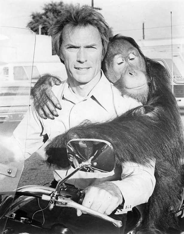 Clint-Eastwood-and-the-orangutan-Clyde-on-the-set-of-Every-Which-Way-but-Loose.jpg
