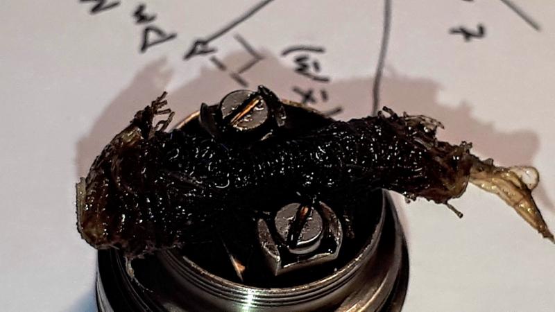 I Test Di SEF: Svapiamo Con La Garza Idrofila [SigarettaElettronicaForum.com]