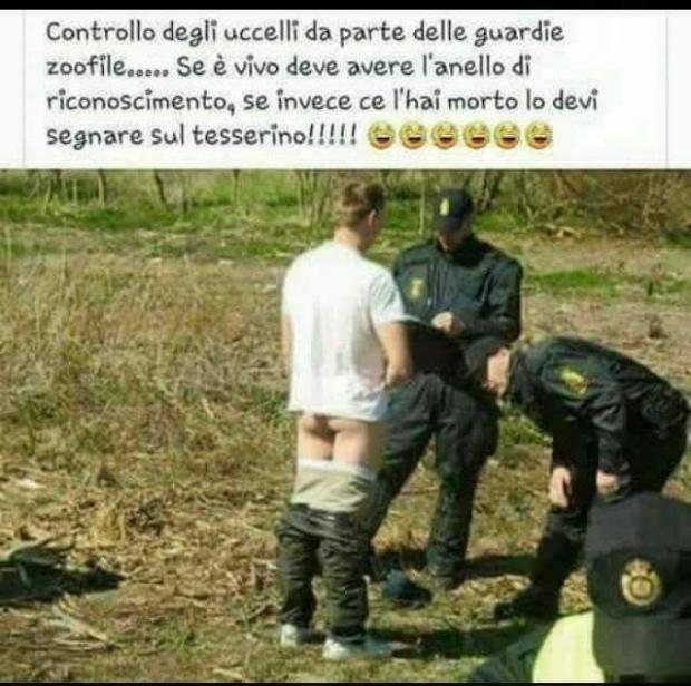 controllo_uccelli.jpg