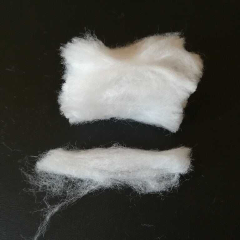 cotone 3.jpg