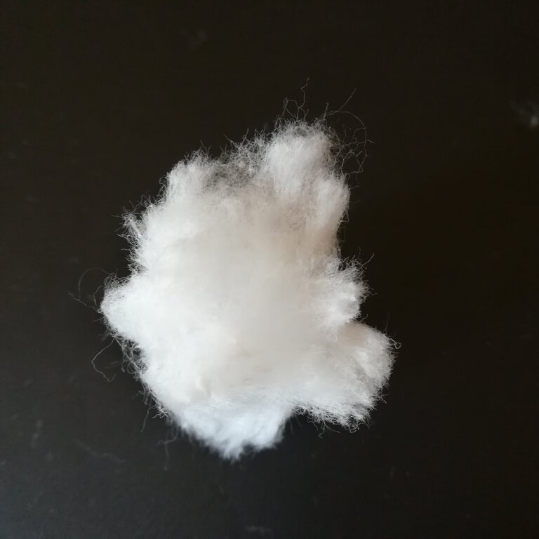 cotone 4.jpg