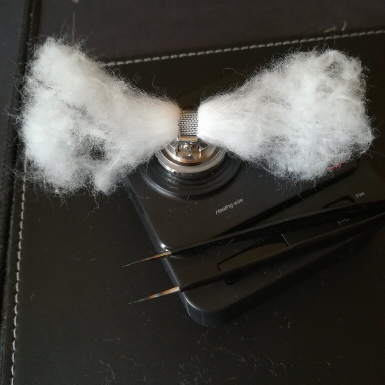 cotone 7.jpg