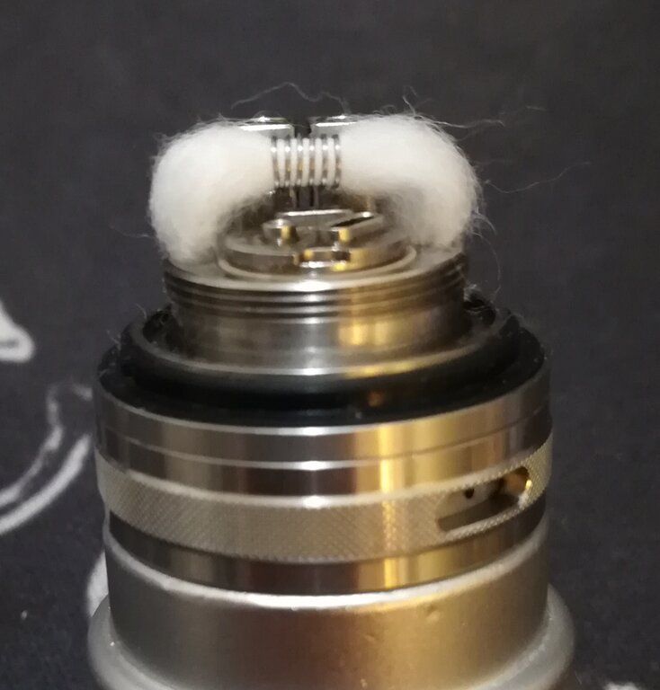 cotton build vertex 2.jpg