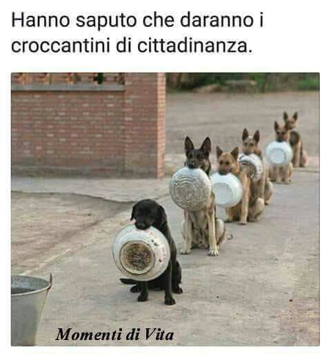 croccantini di cittadinanza.jpeg