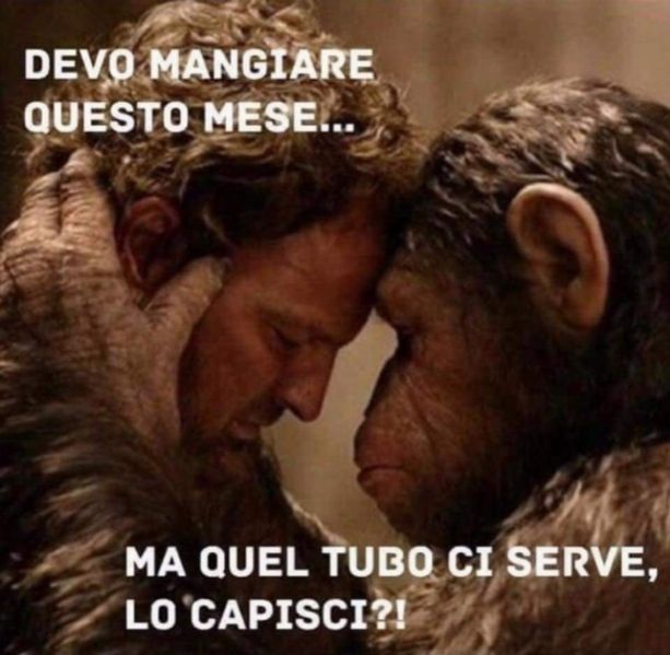 d34e2503835bc9bfe0d84c128e21caba.jpg